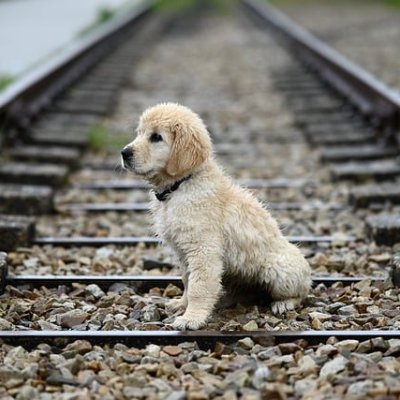 tsandeep_'s profile picture. Crafting marketing content by daylight, decoding pixels by moonlight  | On a mission to become a Computer Vision Engineer, one step at a time.