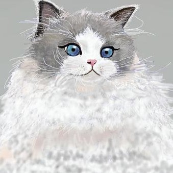 cosme_10runa's profile picture. 24歳｜1stブルベ夏｜2ndイエベ春｜混合肌
｜韓国コスメプチプラ好き✨｜リップ＆アイシャドウ集めがち|呼びタメ大歓迎お気軽に🤝|アンバサダーになるのが夢
#美容垢さんフォロバ100