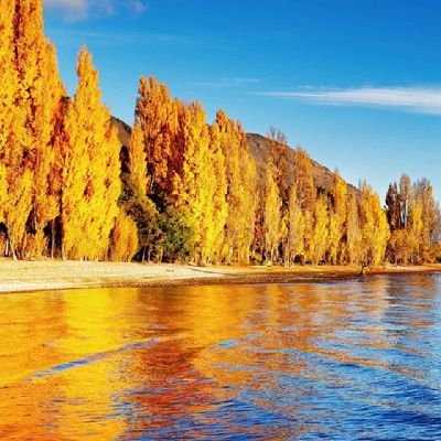 VKMNibil9091's profile picture. Reading