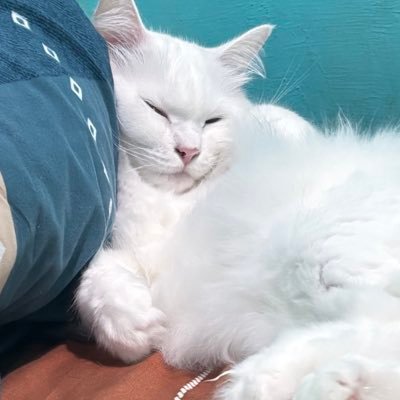 intanlve's profile picture. 