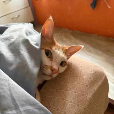 harlxttharmony's profile picture. she/her • ab nahi ho raha mujhse yaar