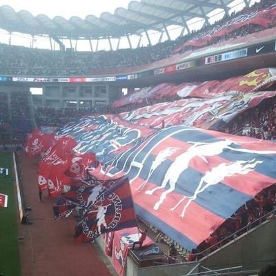 oDbZ9dd4iK39790's profile picture. 