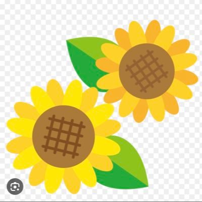 yuyumomo1458's profile picture. 前のアカウントに入れなくなりアカウント作り直しました。髙橋海人くんの才能と人柄に惚れてます💛無言フォロー失礼します🙇‍♀️