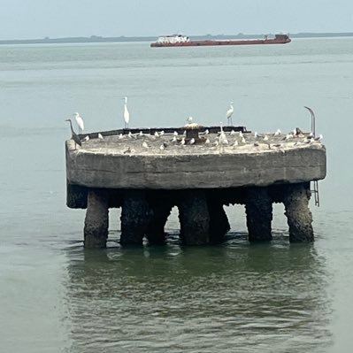 EbouNasnsbbah's profile picture. Hello I’m new here to meet good people around the globe peace love and kindness