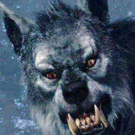 JohnBarron51582's profile picture. Father, Husband, Marine, Sgt., 1142,Retired Corrections Lt. ,  MAGA  Conservative, awake and watching. No DM's No Porn= insta-block. Deus Vult.