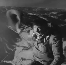 FurniePad's profile picture. 