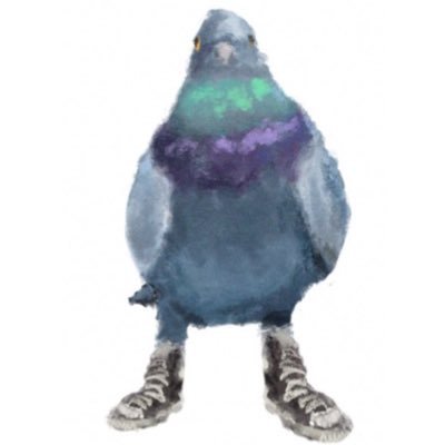 eteixna's profile picture. 🇵🇸 she/her - 23 | bestie de manabu | bro… are we flirting or is it like… a bro thing ?