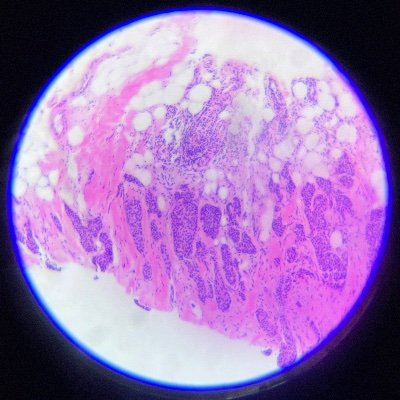 patholonist's profile picture. 丁稚奉公6年目。やっとこさスタート地点に立てました。時々楽斎。さてこれからどうしようか。