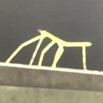 yukkurimurei's profile picture. 暇
犬だけど猫のアイコン