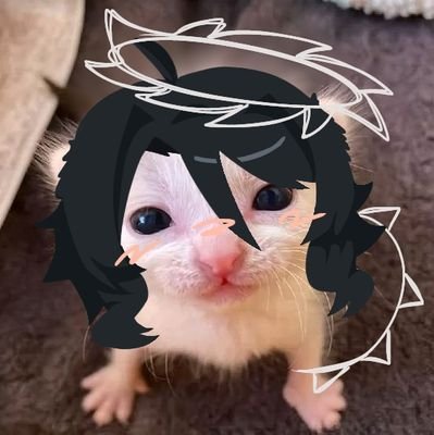 Sigma_ee's profile picture. ^ multifandom,ship ^
          | she/her °~🇹🇭

   TWOTIME FAN (I guess)

 ( * ॑꒳ ॑*)⸝ᵗʱᵃᵑᵏᵧₒᵤ