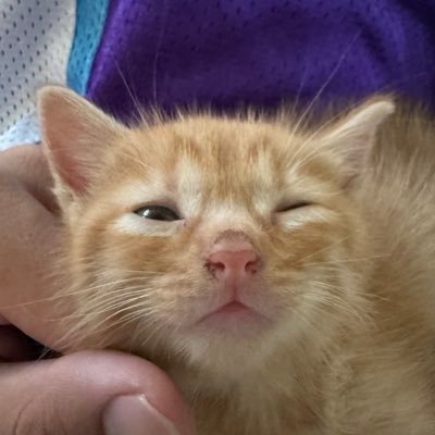 hiro_katashi's profile picture. slowly getting there