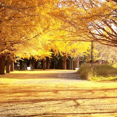 Ome_Line233's profile picture. 𝑪𝒂𝒏𝒐𝒏 𝑬𝑶𝑺 𝟕𝑫 𝑴𝒂𝒓𝒌 𝑰𝑰/ 4K / 撮り鉄 / ピン甘 / DM不可 / 推し:H45と青666