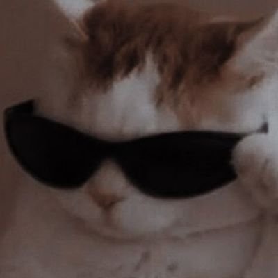 nyamnyami12345's profile picture. 부산30대뚱녀/유부녀 아님/멀리사는자지안먹음