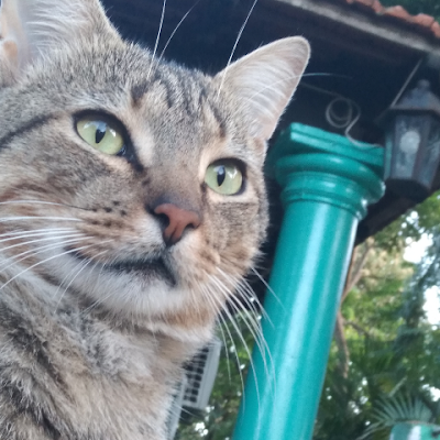 MariaIbaez69929's profile picture. 