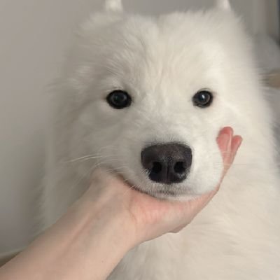 nck_tong's profile picture. 🐇🌷🐣🎨🐕📚🌱🦋 - 🧚🏻‍♀️🌹🧋🌊🧸🎤🥊🦈