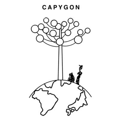 @capygon_shop