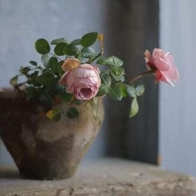 mehr_ayati's profile picture. علاقه‌مند به اقتصاد اکولوژیک و اقتصاد محیط زیست...
🦣🐬🦋🌴🌍🌧❄️💧