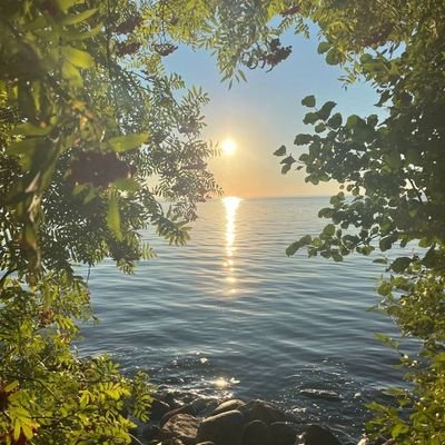 itsMarwaIbrahim's profile picture. Aspiring Software Engineer