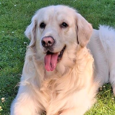 VanVeeren's profile picture. 🇧🇪🇳🇱🇩🇪|
24yo