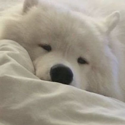 chobtalaymai's profile picture. cms open @quanlhong ; gfsn 🌻🤍                                              ㅡ fan account (#talayygw , fanarts #ทะเลวาด)