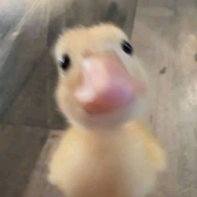 007junkbond's profile picture. 임시휴업