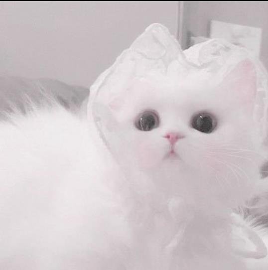 armedzkj8d61378's profile picture. 連休最終日✨またすぐ連休だね🤭？