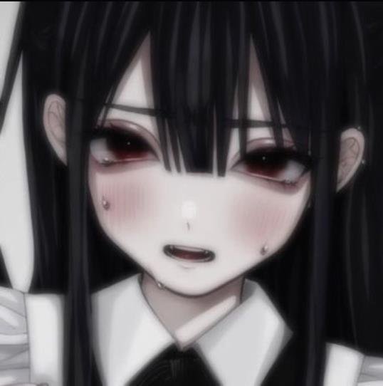 Sheridank219986's profile picture. 22歳の大学院生