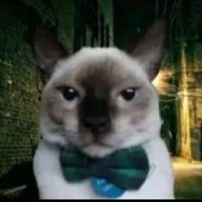 mr_taketherisk7's profile picture. 