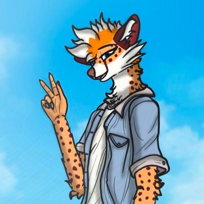 CheetahBoiAiden's profile picture. 