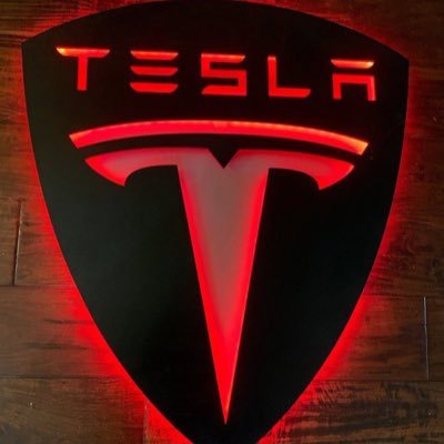 manalilijamby's profile picture. CEO of Tesla & SpaceX| Driving innovation on Earth & beyond🪐⚡️