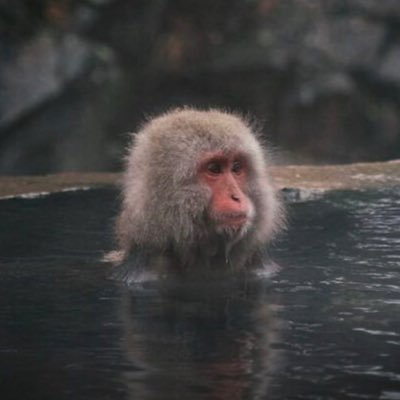 STARPL4T1NUM's profile picture. no agendas - love all players