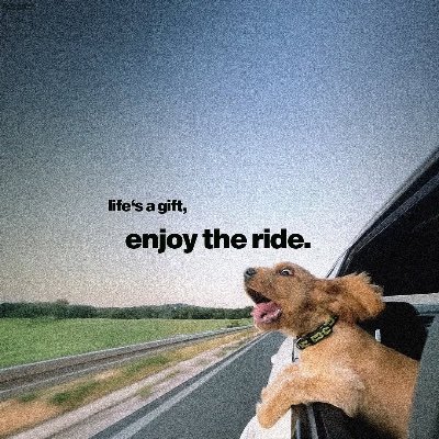 smbdused's profile picture. saying ᵍᵐ