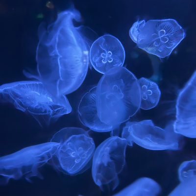 wataru_fudosan's profile picture. 不動産投資/大学受験/高校受験/麻雀/りき大