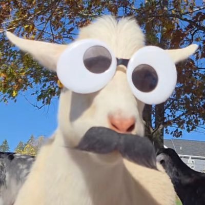Classified_Goat's profile picture. 🐐 Capra hircus, Goat Doesn’t Like You. #FREEDOM #2A🐐 You strive for championships, not settle for the lesser……