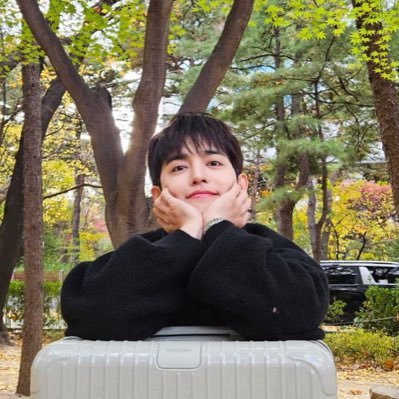 coupscheolkkuma's profile picture. 