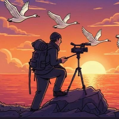 SwanwatchUk's profile picture. I’m 32 2014- 2025 11 Years. #SWANWATCHUK Live in Cheshire West