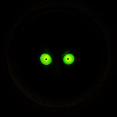 RTMN179432's profile picture. Patron saint of degens. Born in the sewers, raised by volatility.