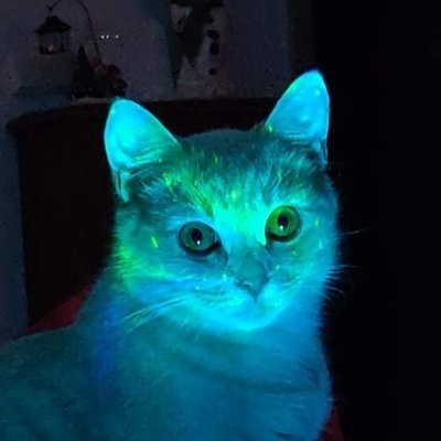 MrDoggo123_TTV's profile picture. A small streamer with no viewers, looking to gain an audience.

LVL 18.
From Iceland.
Powerlifter, Boxer, and a small-time streamer.
140kg (308lbs) Deadlift PR.