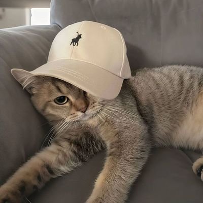 Nathrxdfnbr_'s profile picture. 🇫🇷🇦🇪 | 150$ | F/A | bisnesse Inquiries @Sharpfnbr