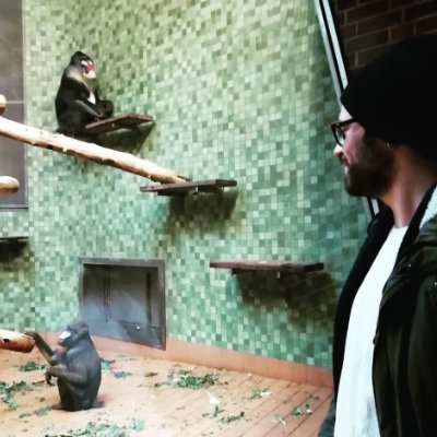 fabalfieri_'s profile picture. Evolutionary biologist and functional morphologist focusing on the evolution of bone morphology in vertebrates. Currently looking for a post-doc