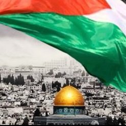 PlantsBerber's profile picture. Sanma ki hakkın kalır ademde 
Kağıt da şâhiddir yazan kalem de 
Bırak ertelensin tüm duruşmalar 
Şaşmaz adâlet, İlâhî âlemde