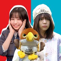 りくと◢⁴⁶🦅 (@rikuto_hawks_46) 's Twitter Profile Photo