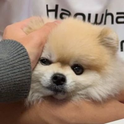 snooze1262's profile picture. 