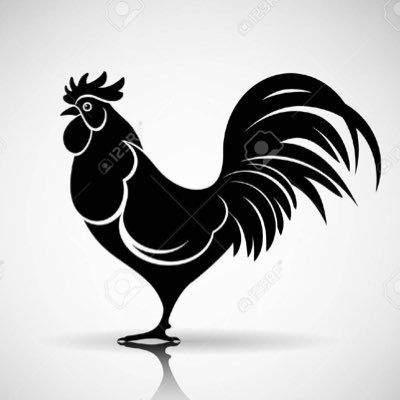 cocoriprout's profile picture. 