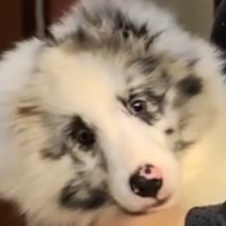 wis_tathh's profile picture. เกิด แก่ ติ่ง อุนย่าคุณหนูเจเนท