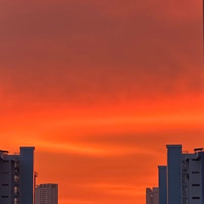 greenturtle9779's profile picture. 🐢✌️🏳️‍🌈👭🐶🦋💐🌈