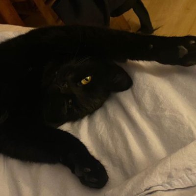 eaccngineer's profile picture. builder of things