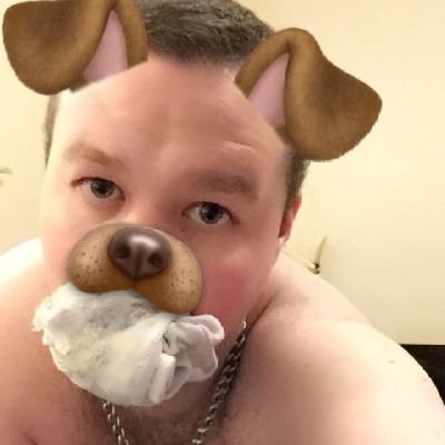 piggyjoshh's profile picture. 