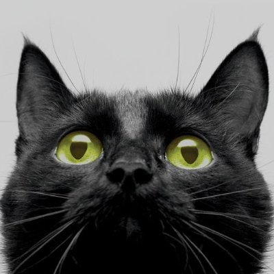 Chatelaillon_OT's profile picture. 