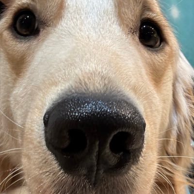 gmsmiyfsfm's profile picture. 